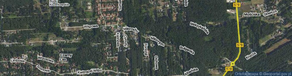 Zdjęcie satelitarne Miłorzębu ul.